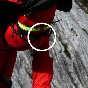 Haul loop climbing harness circled